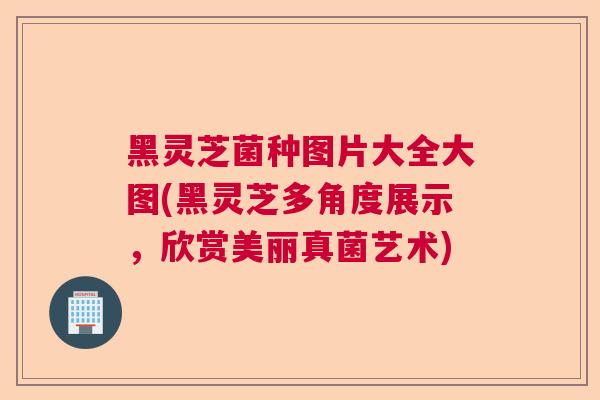 黑灵芝菌种图片大全大图(黑灵芝多角度展示，欣赏美丽真菌艺术)