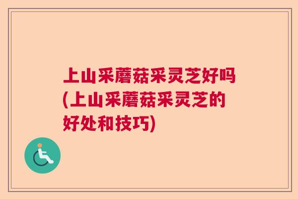 上山采蘑菇采灵芝好吗(上山采蘑菇采灵芝的好处和技巧)