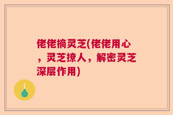 佬佬摘灵芝(佬佬用心，灵芝撩人，解密灵芝深层作用)