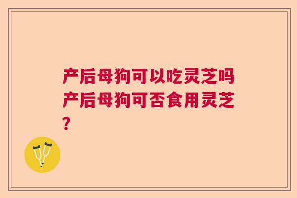 产后母狗可以吃灵芝吗产后母狗可否食用灵芝？