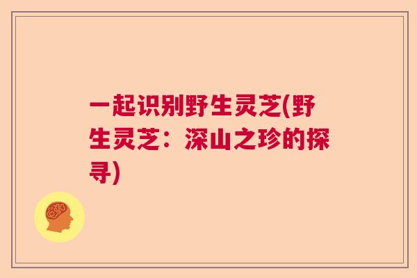 一起识别野生灵芝(野生灵芝：深山之珍的探寻)