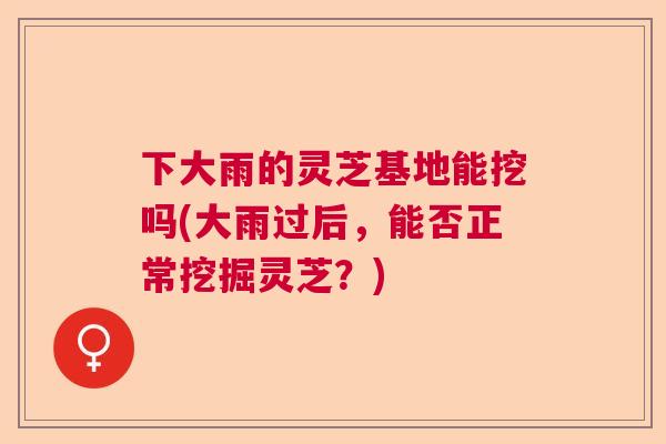 下大雨的灵芝基地能挖吗(大雨过后，能否正常挖掘灵芝？)