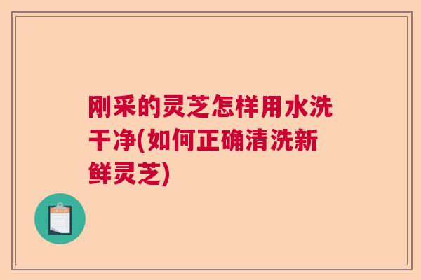 刚采的灵芝怎样用水洗干净(如何正确清洗新鲜灵芝)