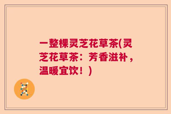 一整棵灵芝花草茶(灵芝花草茶：芳香滋补，温暖宜饮！)