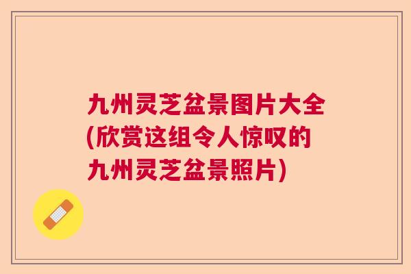 九州灵芝盆景图片大全(欣赏这组令人惊叹的九州灵芝盆景照片)