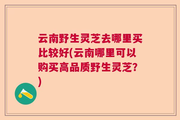云南野生灵芝去哪里买比较好(云南哪里可以购买高品质野生灵芝？)