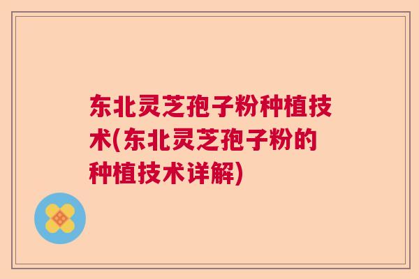 东北灵芝孢子粉种植技术(东北灵芝孢子粉的种植技术详解)