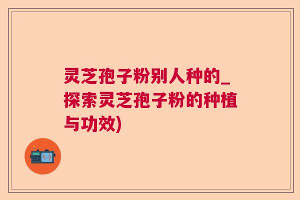 灵芝孢子粉别人种的_探索灵芝孢子粉的种植与功效)