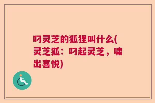 叼灵芝的狐狸叫什么(灵芝狐：叼起灵芝，啸出喜悦)