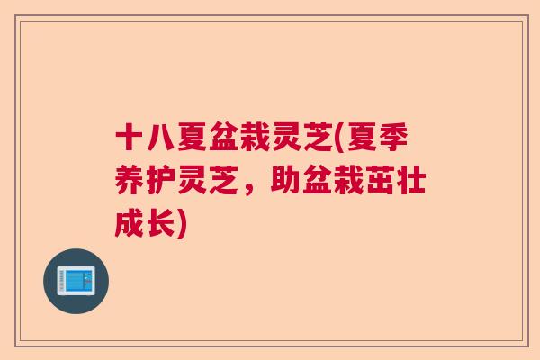 十八夏盆栽灵芝(夏季养护灵芝，助盆栽茁壮成长)