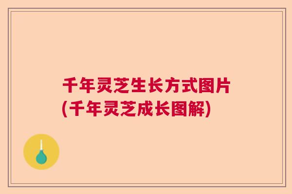 千年灵芝生长方式图片(千年灵芝成长图解)