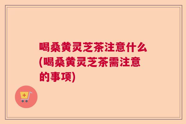 喝桑黄灵芝茶注意什么(喝桑黄灵芝茶需注意的事项)