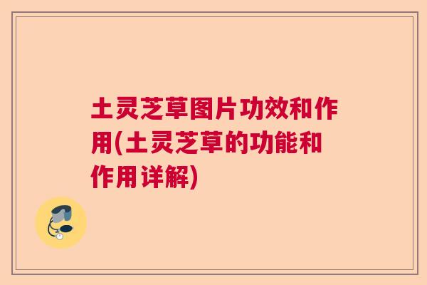 土灵芝草图片功效和作用(土灵芝草的功能和作用详解)