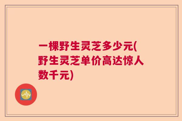 一棵野生灵芝多少元(野生灵芝单价高达惊人数千元)