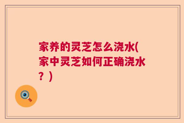 家养的灵芝怎么浇水(家中灵芝如何正确浇水？)