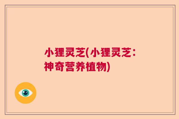 小狸灵芝(小狸灵芝：神奇营养植物)
