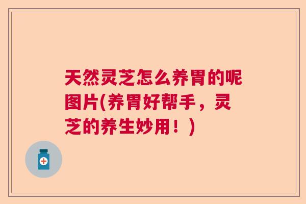 天然灵芝怎么养胃的呢图片(养胃好帮手，灵芝的养生妙用！)