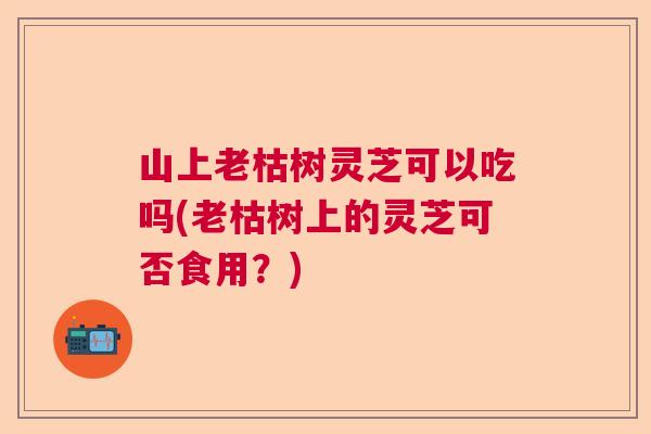 山上老枯树灵芝可以吃吗(老枯树上的灵芝可否食用？)
