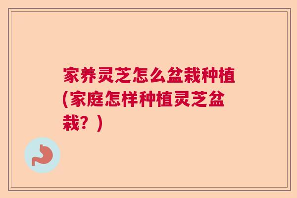 家养灵芝怎么盆栽种植(家庭怎样种植灵芝盆栽？)