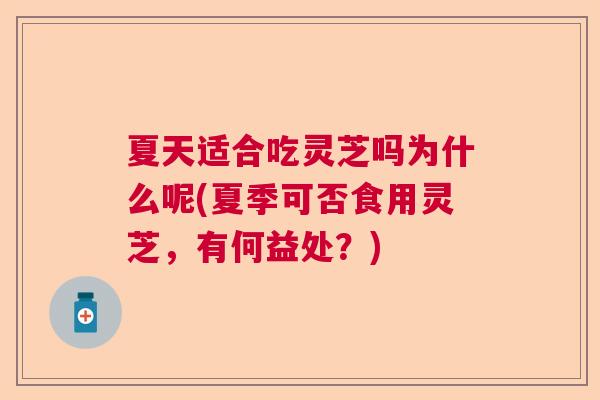 夏天适合吃灵芝吗为什么呢(夏季可否食用灵芝，有何益处？)