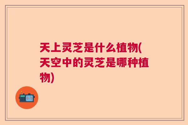 天上灵芝是什么植物(天空中的灵芝是哪种植物)