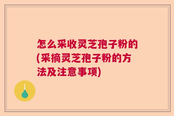 怎么采收灵芝孢子粉的(采摘灵芝孢子粉的方法及注意事项)