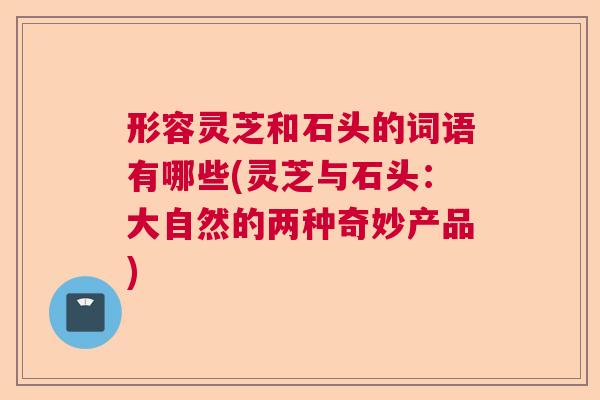 形容灵芝和石头的词语有哪些(灵芝与石头：大自然的两种奇妙产品)