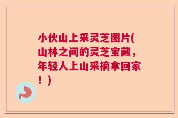 小伙山上采灵芝图片(山林之间的灵芝宝藏，年轻人上山采摘拿回家！)