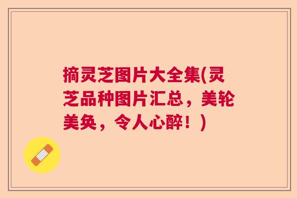 摘灵芝图片大全集(灵芝品种图片汇总，美轮美奂，令人心醉！)