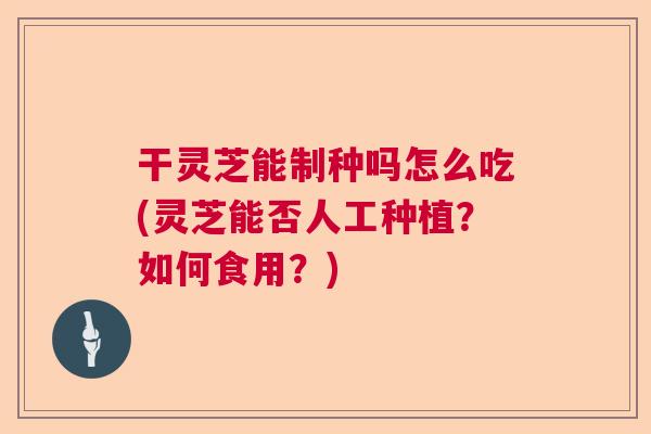 干灵芝能制种吗怎么吃(灵芝能否人工种植？如何食用？)