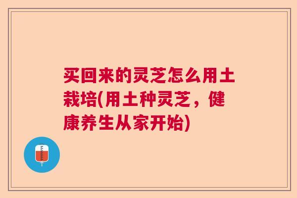 买回来的灵芝怎么用土栽培(用土种灵芝，健康养生从家开始)