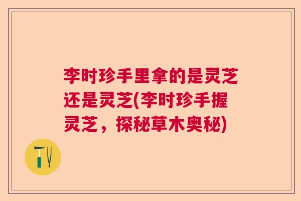 李时珍手里拿的是灵芝还是灵芝(李时珍手握灵芝，探秘草木奥秘)
