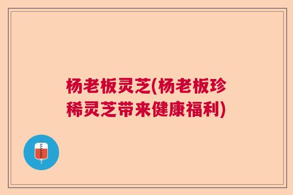 杨老板灵芝(杨老板珍稀灵芝带来健康福利)