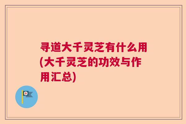 寻道大千灵芝有什么用(大千灵芝的功效与作用汇总)