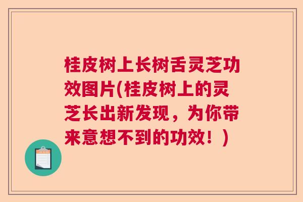 桂皮树上长树舌灵芝功效图片(桂皮树上的灵芝长出新发现，为你带来意想不到的功效！)