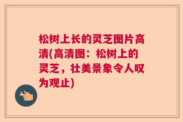 松树上长的灵芝图片高清(高清图：松树上的灵芝，壮美景象令人叹为观止)
