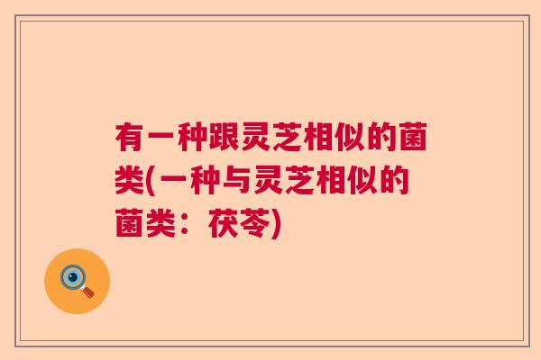 有一种跟灵芝相似的菌类(一种与灵芝相似的菌类：茯苓)
