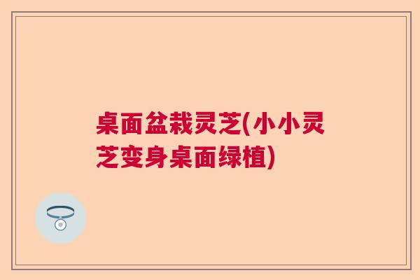 桌面盆栽灵芝(小小灵芝变身桌面绿植)