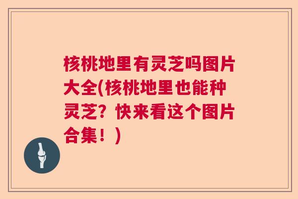 核桃地里有灵芝吗图片大全(核桃地里也能种灵芝？快来看这个图片合集！)