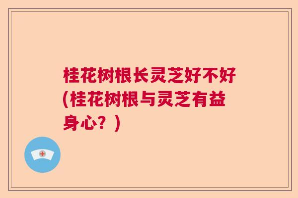桂花树根长灵芝好不好(桂花树根与灵芝有益身心？)