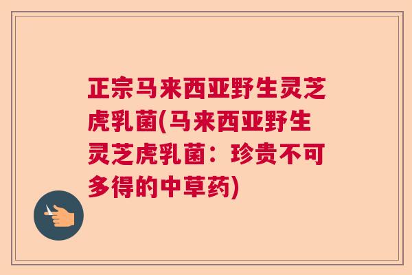 正宗马来西亚野生灵芝虎乳菌(马来西亚野生灵芝虎乳菌：珍贵不可多得的中草药)