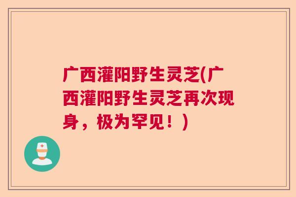 广西灌阳野生灵芝(广西灌阳野生灵芝再次现身，极为罕见！)