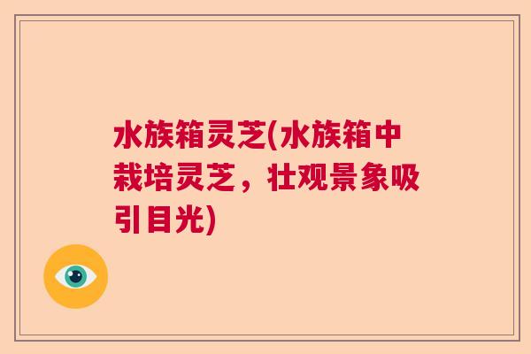 水族箱灵芝(水族箱中栽培灵芝，壮观景象吸引目光)