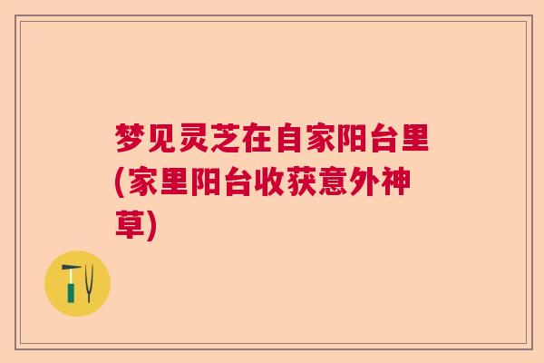 梦见灵芝在自家阳台里(家里阳台收获意外神草)