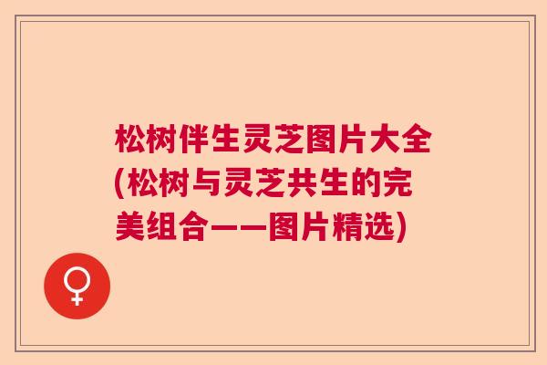 松树伴生灵芝图片大全(松树与灵芝共生的完美组合——图片精选)