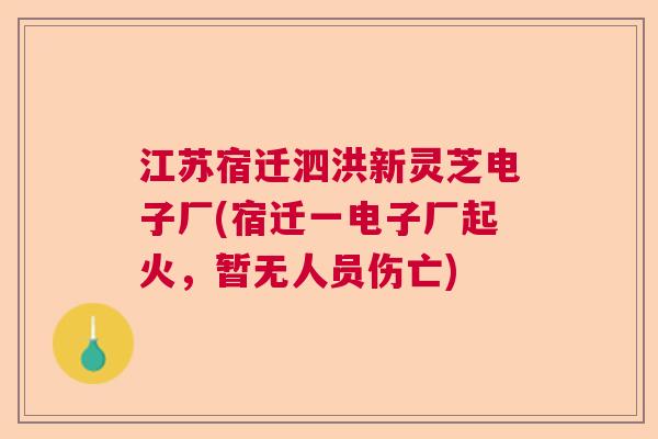 江苏宿迁泗洪新灵芝电子厂(宿迁一电子厂起火，暂无人员伤亡)