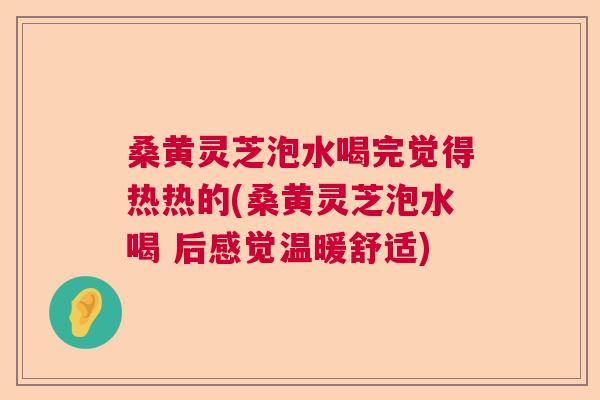 桑黄灵芝泡水喝完觉得热热的(桑黄灵芝泡水喝 后感觉温暖舒适)