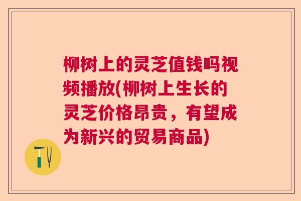柳树上的灵芝值钱吗视频播放(柳树上生长的灵芝价格昂贵，有望成为新兴的贸易商品)