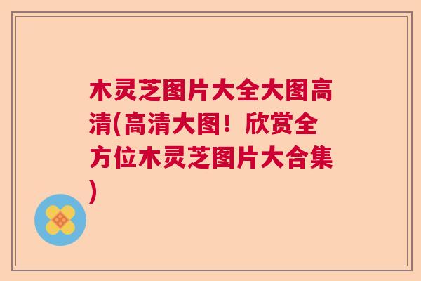 木灵芝图片大全大图高清(高清大图！欣赏全方位木灵芝图片大合集)