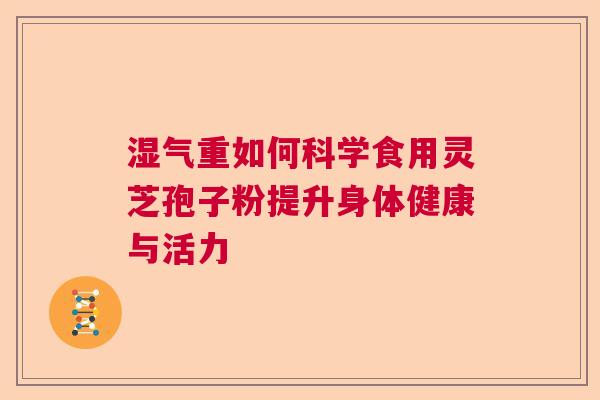 湿气重如何科学食用灵芝孢子粉提升身体健康与活力